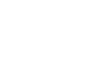Virtuelle Group - Vulnerability Assessment